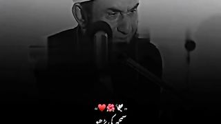 Tariq Molana