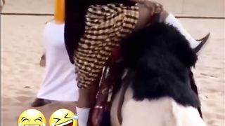 Papa's fairies' great horror ???? Oh God, God????Papa Ki Pari #short #papakipari #viral.