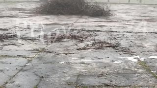Pripyat 2024