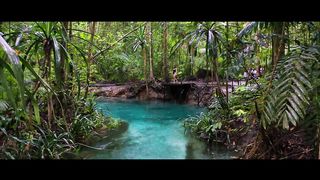 KALI BIRU, The Clearest River in Indonesia Hidden in the Papua Forests
