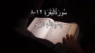 Surah al baqarah ayat 8-12 with urdu translate ❤️ #quran