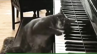 Песенка о дружбе- Если друг не смеётся