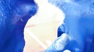 Funny Monkey Viral Video