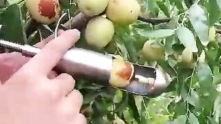 How to make growing in to make funny to me t