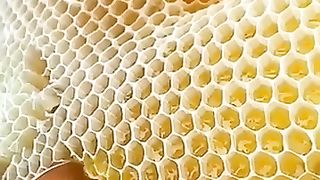 How to make honey ???????? to make funny to me