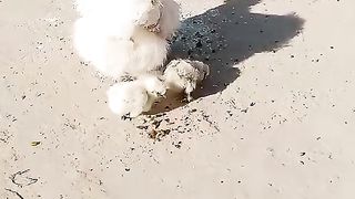 Mother keeps her  . children