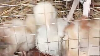 They feel safe