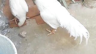 They don't know where to go
