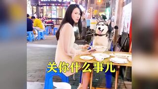 Funny video