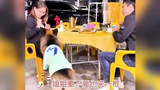 Funny moment