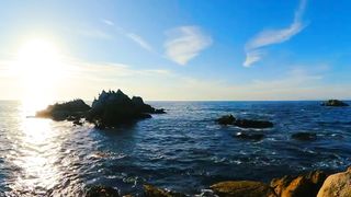Nice Nature Video | Calming Video | Beautiful View | #nature #viral #febspot