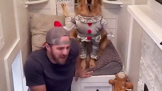 My dog scared me in the middle of the night!