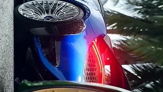 Bagged duo | ????:Jack Thomas Media
