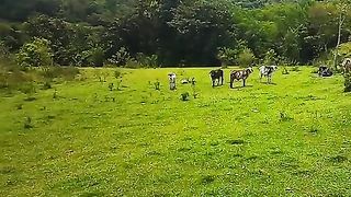 Apenas seja feliz!