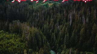 Allah Is One | Daily Quotes