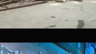 Ridiculous Incident vol 246