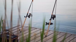 Fishing Fish