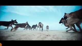 Indian movies great