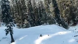 Snowfall Short Video Views are Beautiful