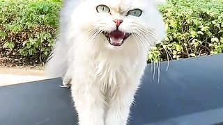 Am very interesting video