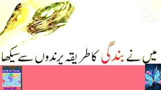 Mene Bandagi Ka Tariqa Parindo Se Sekha.#World in focus #SyedAli
