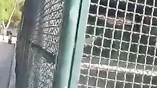 The fence