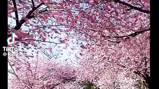 Beautiful trip
