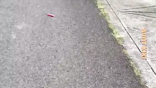 Bumpy Rides
