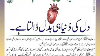اسلامی معلومات Like share follow