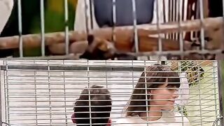 We take care of the girl like a parrot