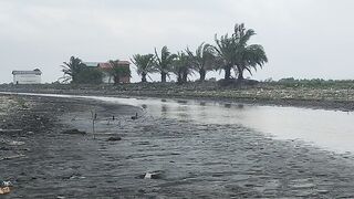 Rc Speed ​​Boat Test Run