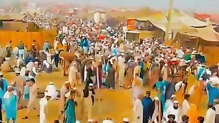 Dunya doka hay