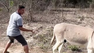 funny videos of Pja