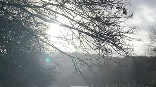"Natural Symphony: Capturing the Ephemeral Beauty of the Wild World on Video"