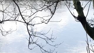 "Enchanting Wilderness: Cinematic Exploration of Nature's Ever-changing Elegance"