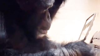 When a monkey wears his hair