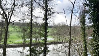"Nature's Ballet: A Cinematic Overture to Earth's Timeless Elegance"