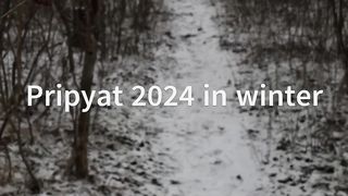 Pripyat 2024 in winter Болота зимой. Чистое небо СТАЛКЕР