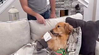 My dog made money in the WEIRDEST way!