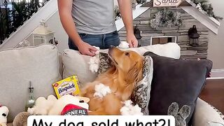 My dog crossed the line!