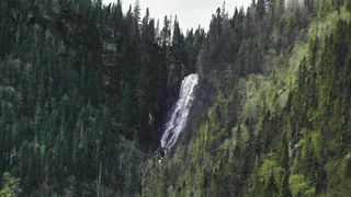 Resonance of the nature : Cinematic echoes in the heartof timeless