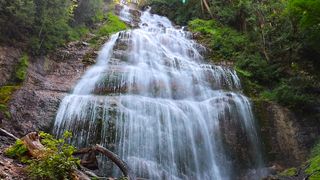 Perpetual wonder: Cinematic revelation in the timeless tapestry of nature