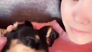 MY DOG’S MOST VIRAL VIDEO ON TIKTOK IN 2021： DEXTER’S ????
