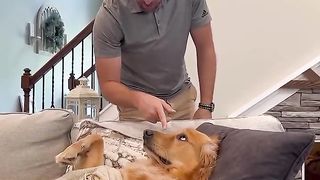 I ate Sunday Dinner in my dogs house! #dog #goldenretriever