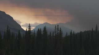 Timeless Reverie: Cinematic Escapes into nature's uneding symphony