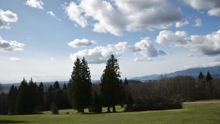 Spectral harmony : Cinematic odyssey in the everlasting Embrace of nature