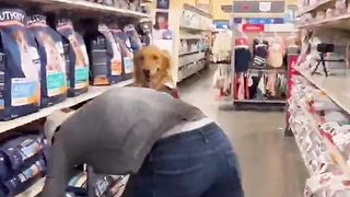 My dog and I donated to an animal shelter in need #dog #goldenretriever
