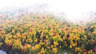 Enchanted Echoes : Cinematic revelation of nature's timeless serenity