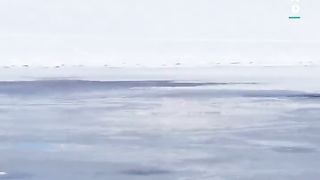 Incredible moments captured by the BBC Earth community over the last year! ????