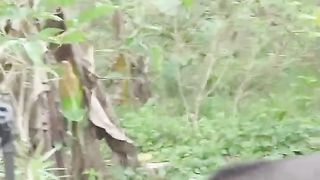 A day in the life of Gonzalito the Tapir ???? #PlanetEarth3